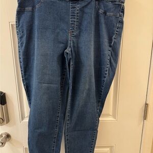 Talbots Women's Blue Pull On Jeggings